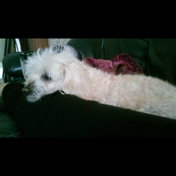 Profile Picture of Clarissa Fuentes (@issa4620) on Poshmark