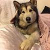 Profile Picture of Joanne Hinton (@@joannehinton7) on Tiktok