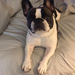 Profile Picture of Lori Byrd-Jacoby (@byrdlaj) on Instagram