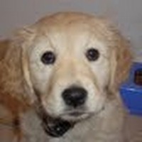 Profile Picture of Natasha Swift (@natasha-swift-1) on Quora