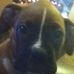 Profile Picture of Zion GaBrielle Rollick (@ziongabrielle.rollick) on Facebook