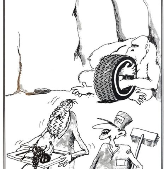 Profile Picture of Jason Bear (@fivelittlebears) on Poshmark