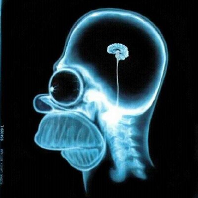 Profile Picture of David Moncayo (@davidmoncayo15) on Twitter
