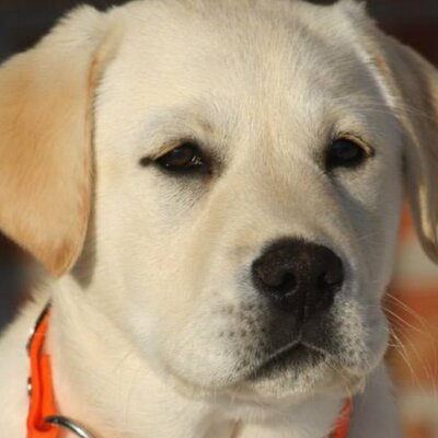 Profile Picture of Kathy Heath (@@heath_kathy) on Twitter