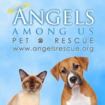 Profile Picture of Lara Shaw (@LshawAAU) on Twitter