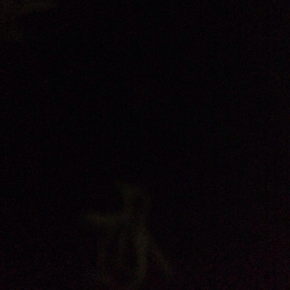 Profile Picture of Wael Alahmadi (@willy999) on Poshmark