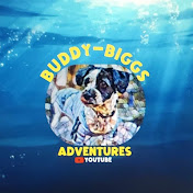 Profile Picture of Buddy Biggs Adventures (@Buddy-Biggs-Adventures) on Youtube