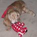 Profile Picture of Terri Delzer McHenry (@tmchenry627) on Pinterest