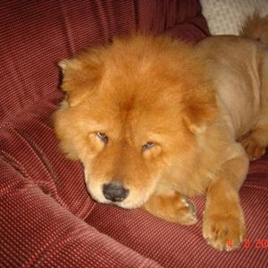 Profile Picture of Marko Kovacevic (@383526387) on Myspace