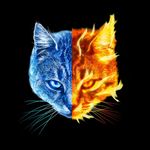 CANDACE MCKINNEY - Instagram Profile Picture of CANDACE MCKINNEY (@princess_lilly35227) on Instagram