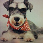 Profile Picture of kitty (@jameskitty) on Instagram