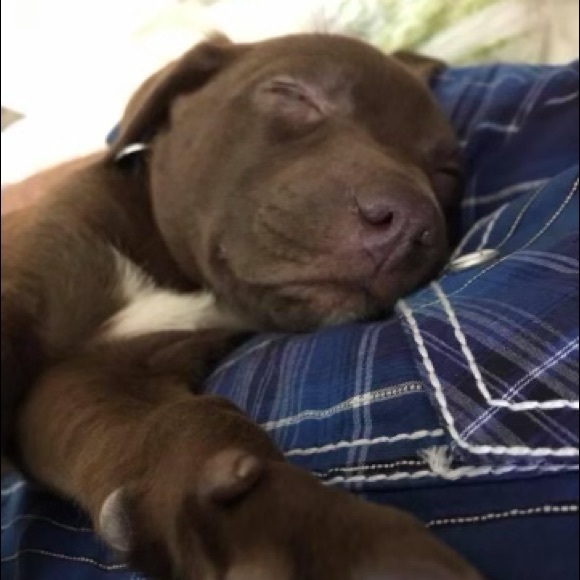 Profile Picture of April Day (@aprilday1848) on Poshmark