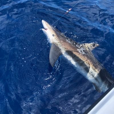 Profile Picture of John Wind (@john_wind) on Twitter