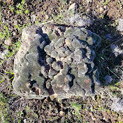 Profile Picture of David Lambert (@davidlambert4179) on Youtube