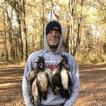 Profile Picture of Ross Barron (@rossbarron) on Instagram