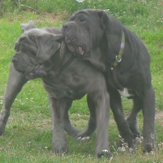 Profile Picture of Brian Hyland (@brian.hyland.796) on Facebook