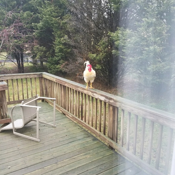 Profile Picture of Kyle Cantwell (@kyle0460) on Poshmark