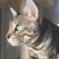 Profile Picture of Lydia Sampson (@lydia-sampson) on Quora