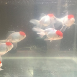 Profile Picture of CNH_Instagraphy (@CNH_Instagraphy) on Flickr