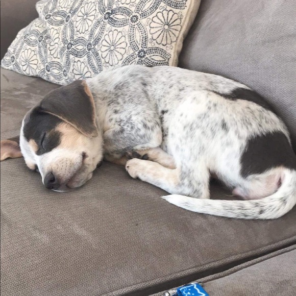 Profile Picture of Jennifer Rigterink (@jrigterink) on Poshmark