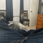 Profile Picture of Andrew Houck (@Andrew-Houck) on Facebook