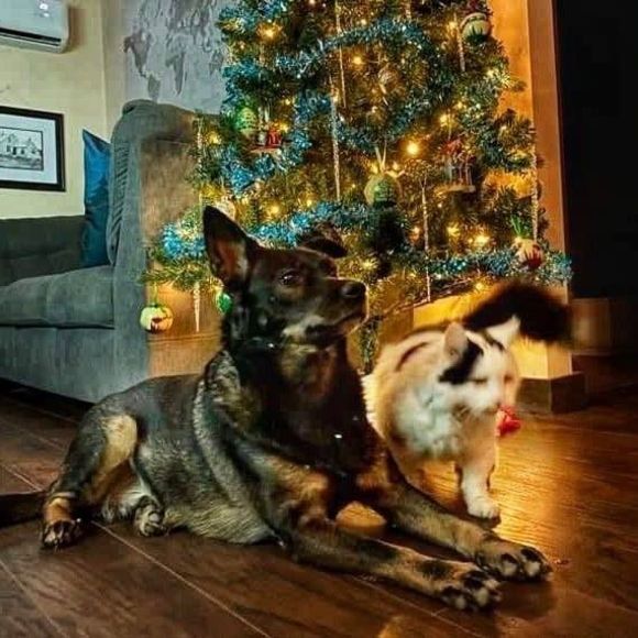 Profile Picture of Ksenia Zaiats (@kazoo1986) on Poshmark