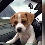 Roberto Garcia - Instagram Profile Picture of Roberto Garcia (@roberto.gatanal) on Instagram