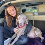 Profile Picture of Philippa Rose Keogh (@philippakeogh) on Instagram