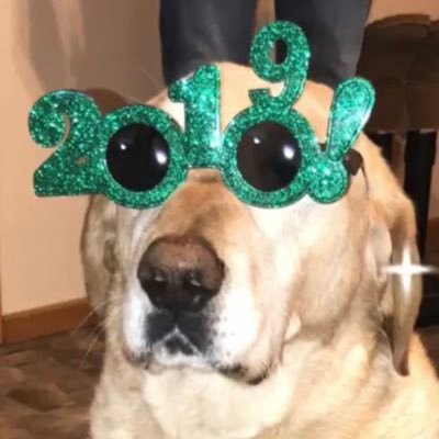 Profile Picture of Danielle Flannery (@DanFlan00) on Twitter