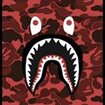 Profile Picture of Adam Cervantes (@adambuckz) on Instagram