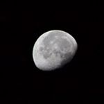 Profile Picture of Thomas Mulhall (@mulhall.thomas) on Instagram