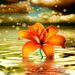 Profile Picture of Carly Trahin (@cjtrahin10) on Pinterest