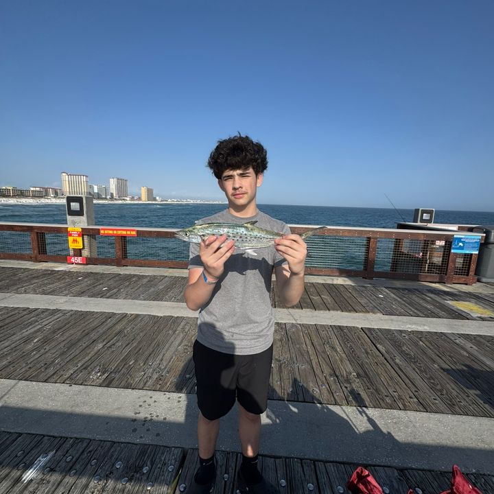 Profile Picture of Joe? (@joetamburine) on Tiktok