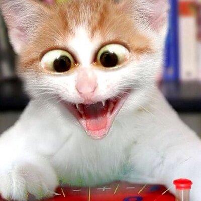 Profile Picture of William James Siddon (@WSiddon) on Twitter