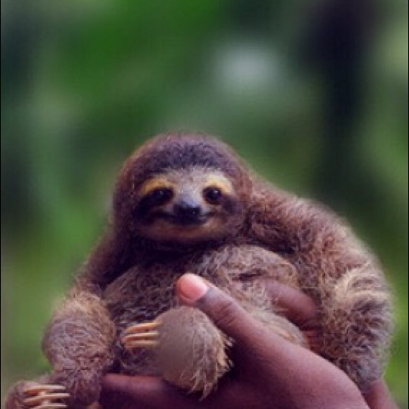 Profile Picture of Kaley Parnell (@kaleyy22) on Poshmark