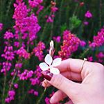 Profile Picture of 🖤✨. (@zalloum.a) on Instagram