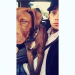 Profile Picture of Nicholas Mendoza (@nicholasmendoza5) on Instagram