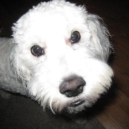 Profile Picture of Jeff Weidner (@weidner_jeff) on Twitter