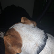 Profile Picture of Ben Morrow (@thebenshow8721) on Youtube