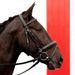 Profile Picture of Lydia Robinson (@mandela10) on Pinterest
