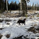 Profile Picture of Stephen Rudy (@estavan55) on Instagram