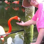 Profile Picture of Paulette Kiernan (@paulette.kiernan.5) on Facebook