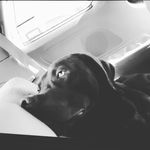 Profile Picture of Brianna Dailey (@briannadailey12) on Instagram