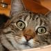 Profile Picture of Nancy Mccarty (@nancy.mccarty.37) on Facebook