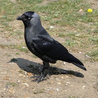 Profile Picture of Vijay Shastri (@vijay-shastri-24) on Quora