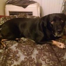 Josh Kendall - Twitter Profile Picture of Josh Kendall (@t0mkruze) on Twitter