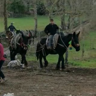 Profile Picture of Colucci RiccardoSabrina (@riccardo.colucci.3956) on Facebook