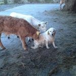 Profile Picture of Colm Duffy (@colmpduffy) on Instagram