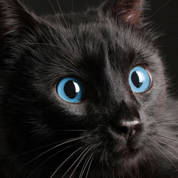 Profile Picture of Elias Ouaaziz (@elias_simmons) on Poshmark