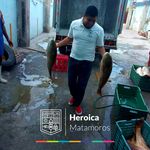 Profile Picture of henry_padron (@henry_padron) on Instagram